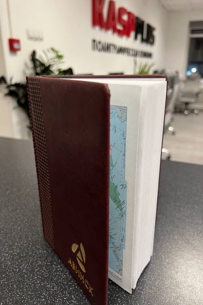 Ежедневники с тиснением